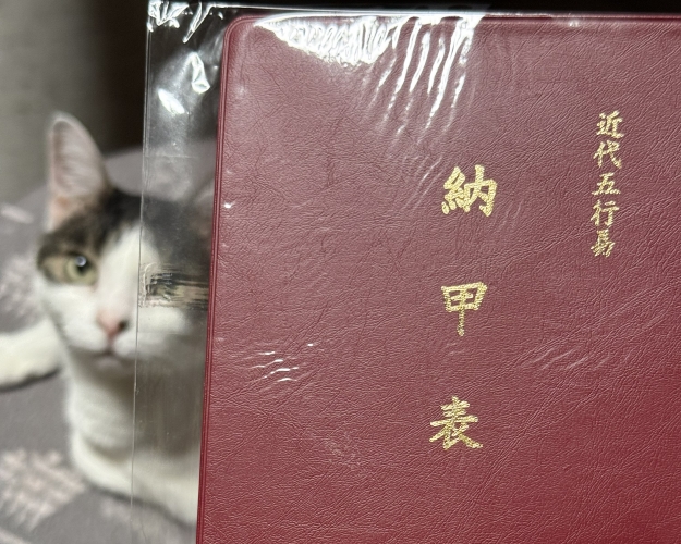 近代五行易 納甲表 猫