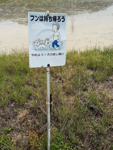 フンは持ち帰ろう
