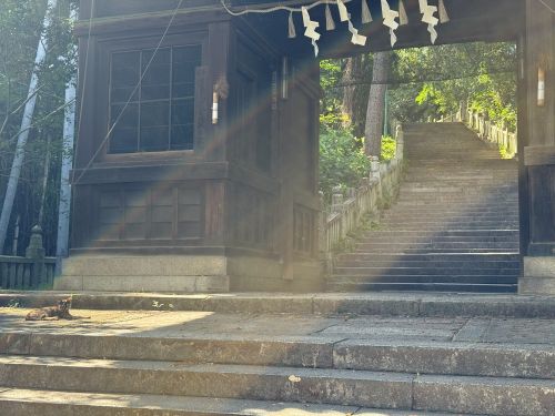 琴弾八幡宮の階段